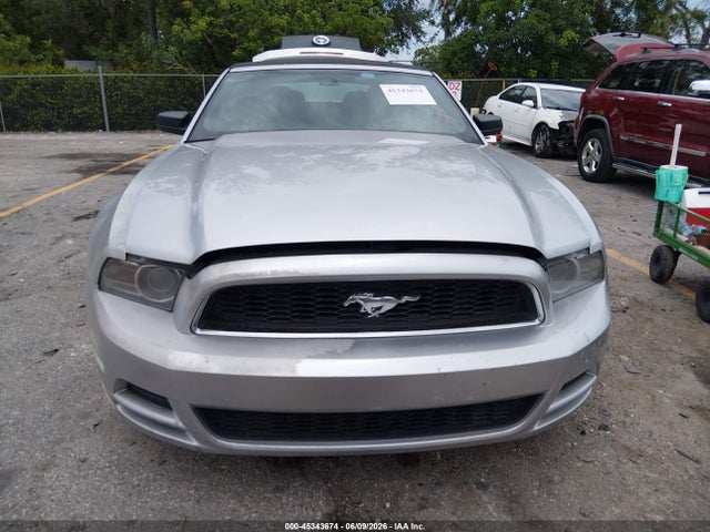 Ford Mustang V6