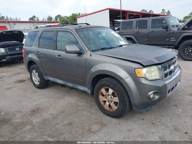 Salvage Ford Escape Image