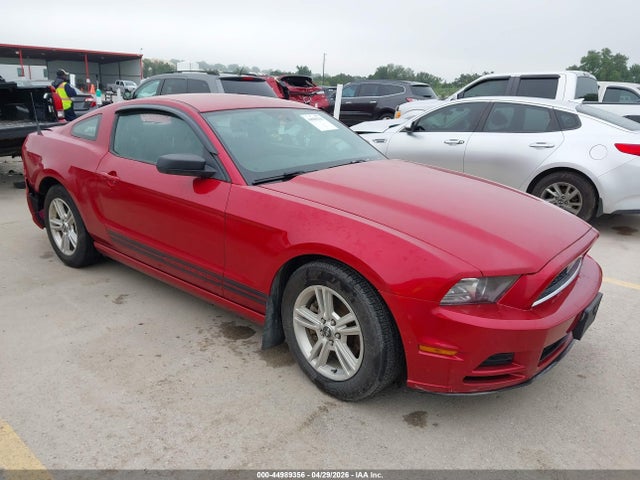 Salvage Ford Mustang Image