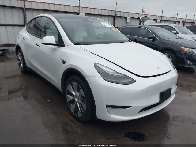 Salvage Tesla Model Y Image