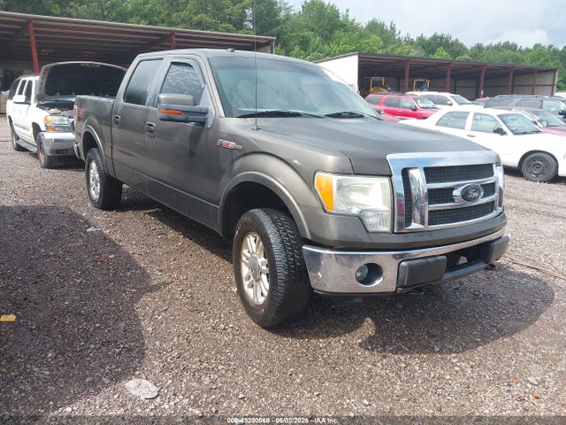 Salvage Ford F-150 Image