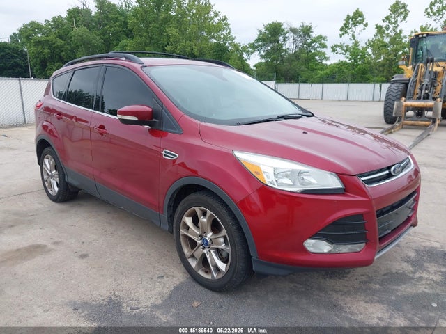 Salvage Ford Escape Image