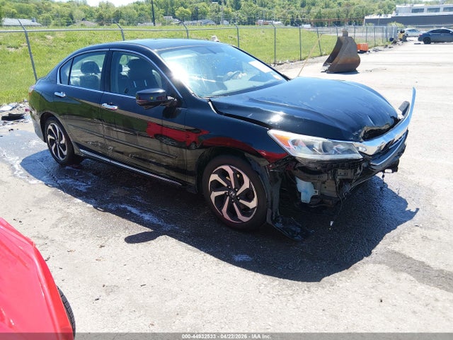 Salvage Honda Accord Image
