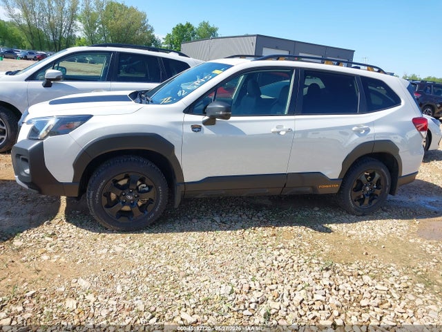 Subaru Forester Wilderness