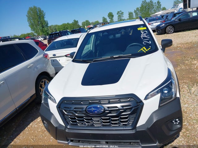 Subaru Forester Wilderness