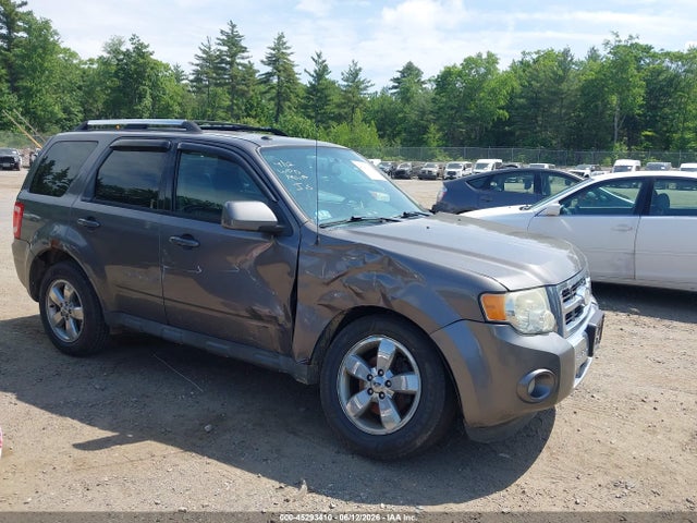 Salvage Ford Escape Image