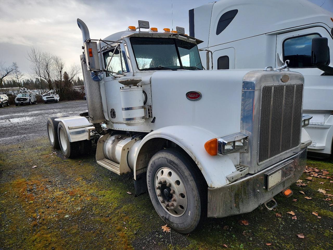 Salvage Peterbilt 378 Image