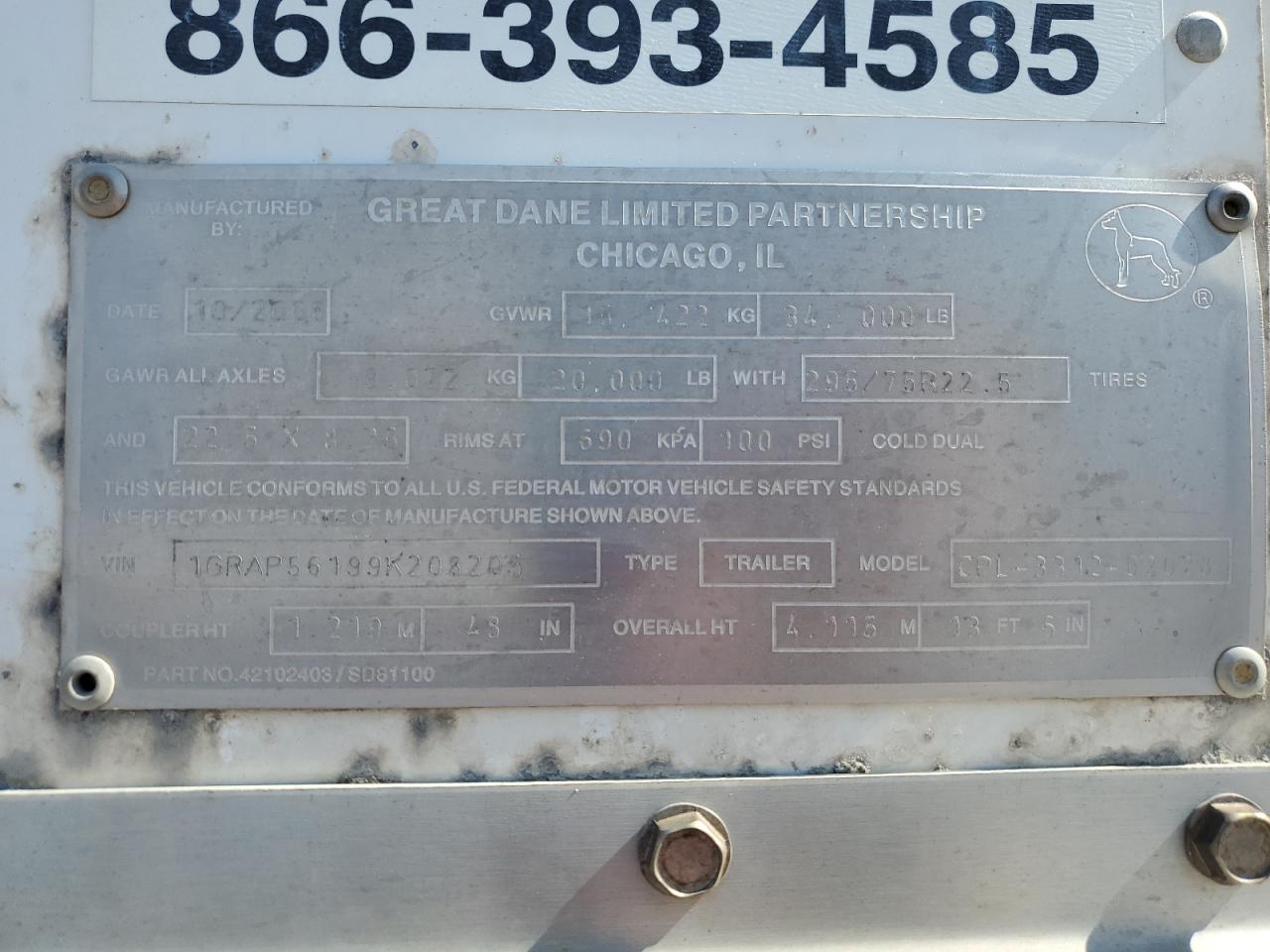 Great Dane Other