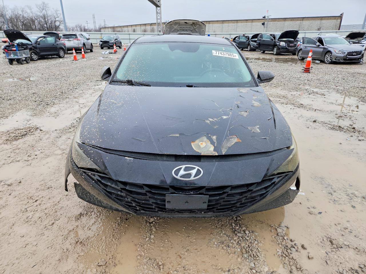 Hyundai ELANTRA Blue