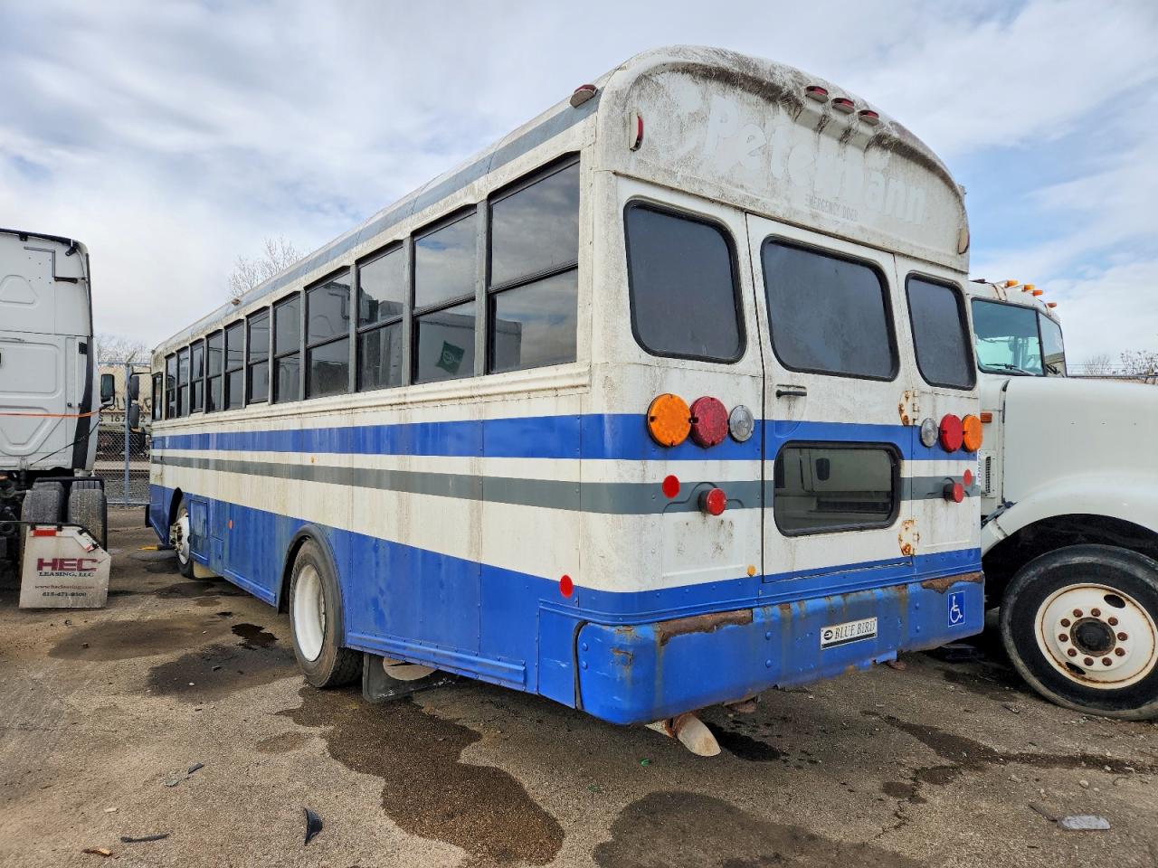 Blue Bird School Bus Transit Bus