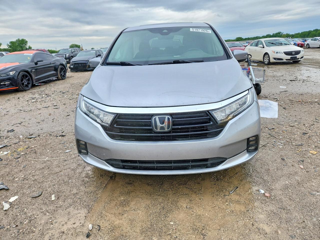 Honda Odyssey Exl