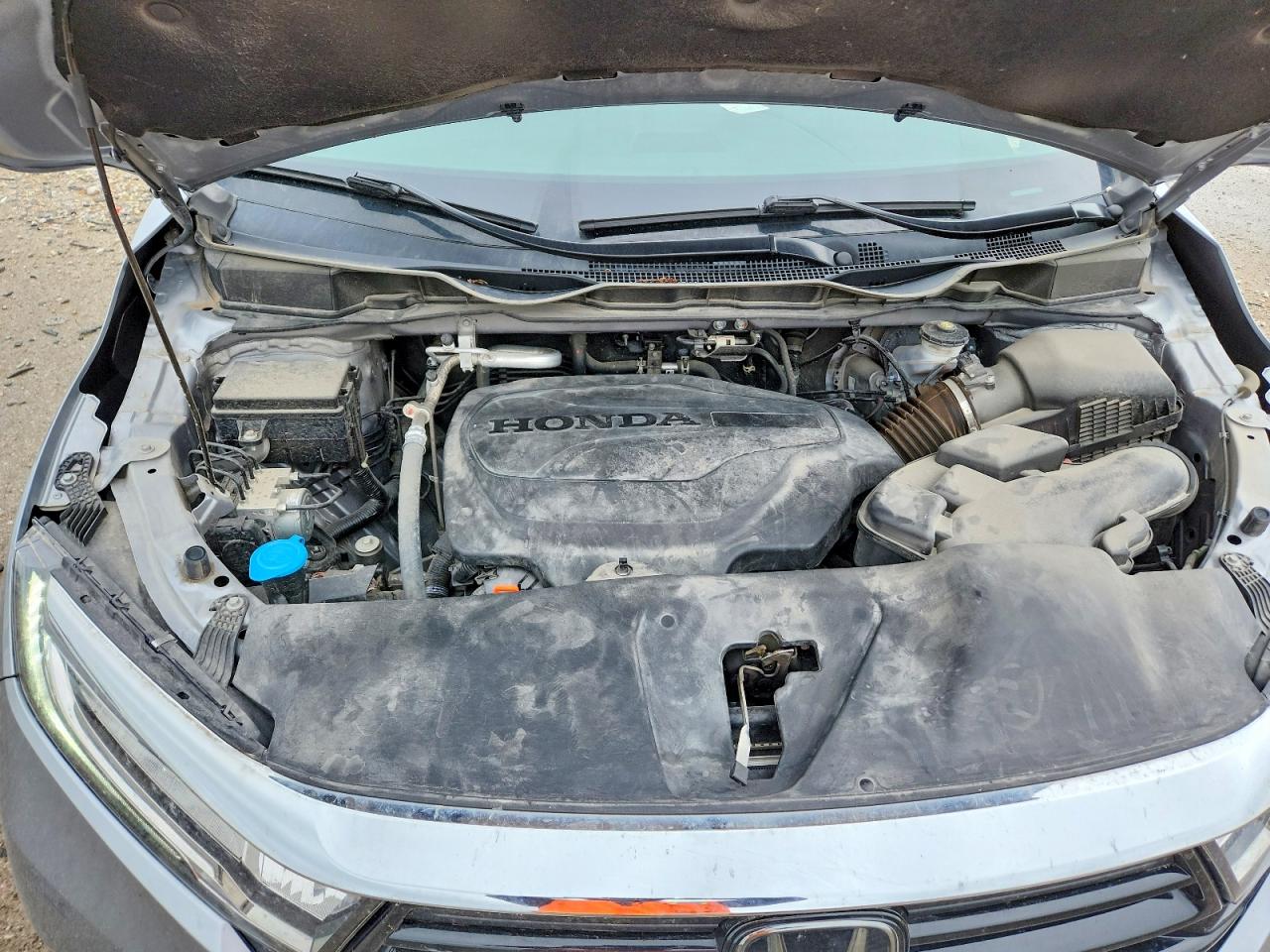 Honda Odyssey Exl