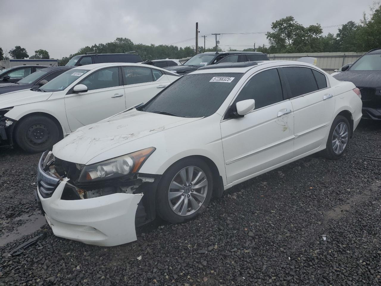 Salvage Honda Accord Image