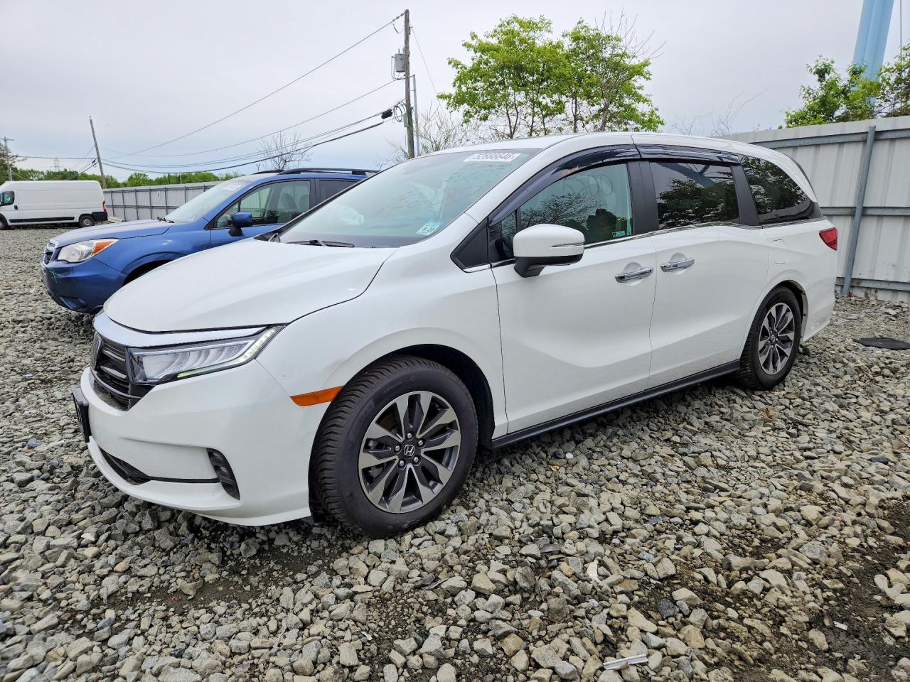 Salvage Honda Odyssey Image