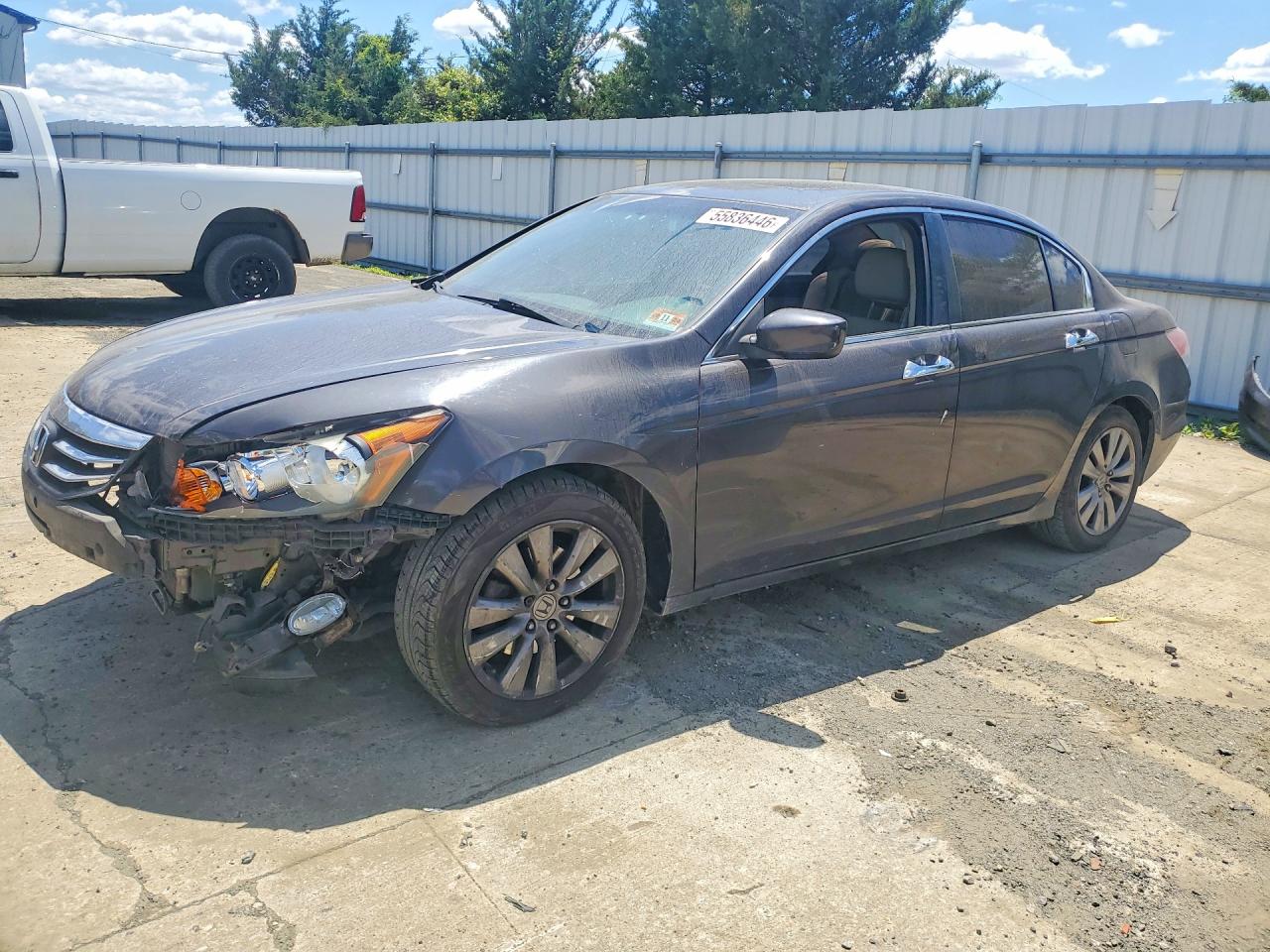 Salvage Honda Accord Image